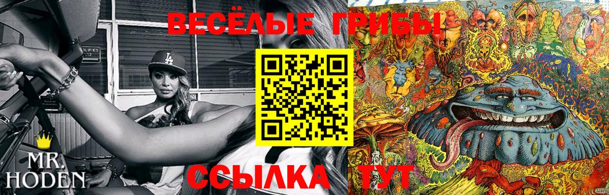 Псилоцибиновые грибы MAGIC MUSHROOMS  Вход с VPN  Чита 