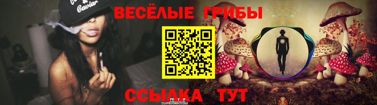 Псилоцибиновые грибы прущие грибы Чита
